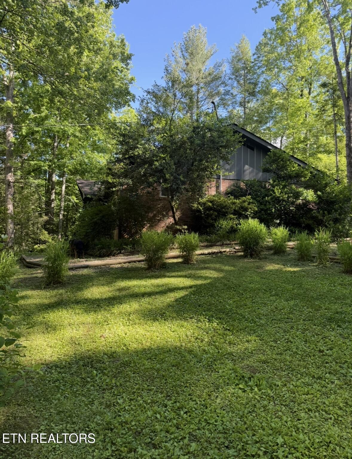 543 Reba Lane Gatlinburg TN 37738