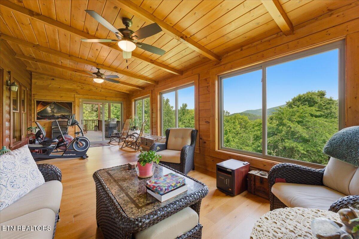 2732 Cayanne Road Cosby TN 37722