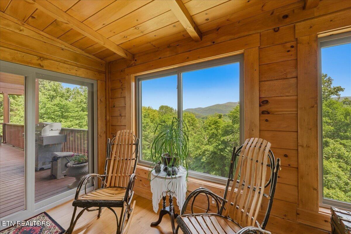 2732 Cayanne Road Cosby TN 37722