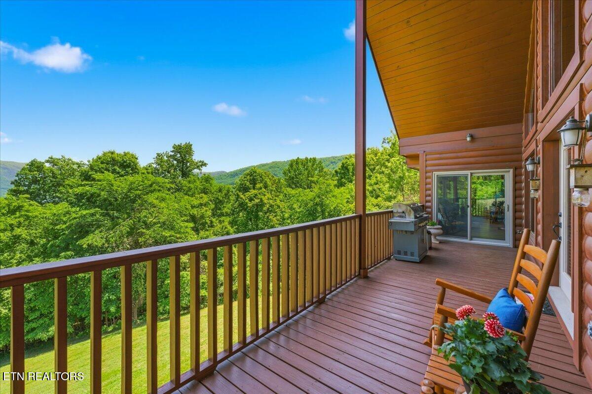 2732 Cayanne Road Cosby TN 37722