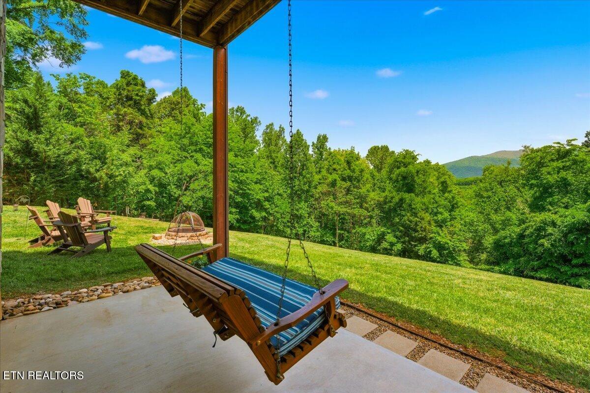 2732 Cayanne Road Cosby TN 37722