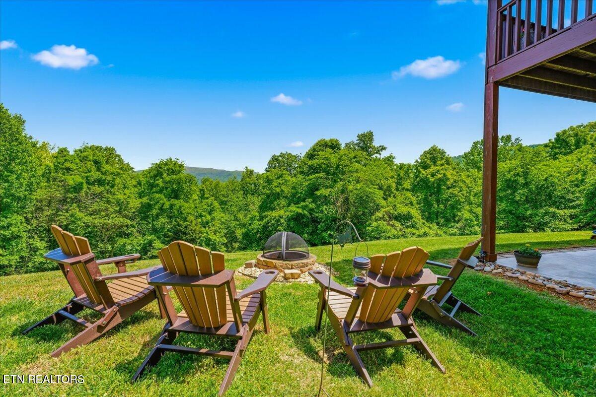 2732 Cayanne Road Cosby TN 37722
