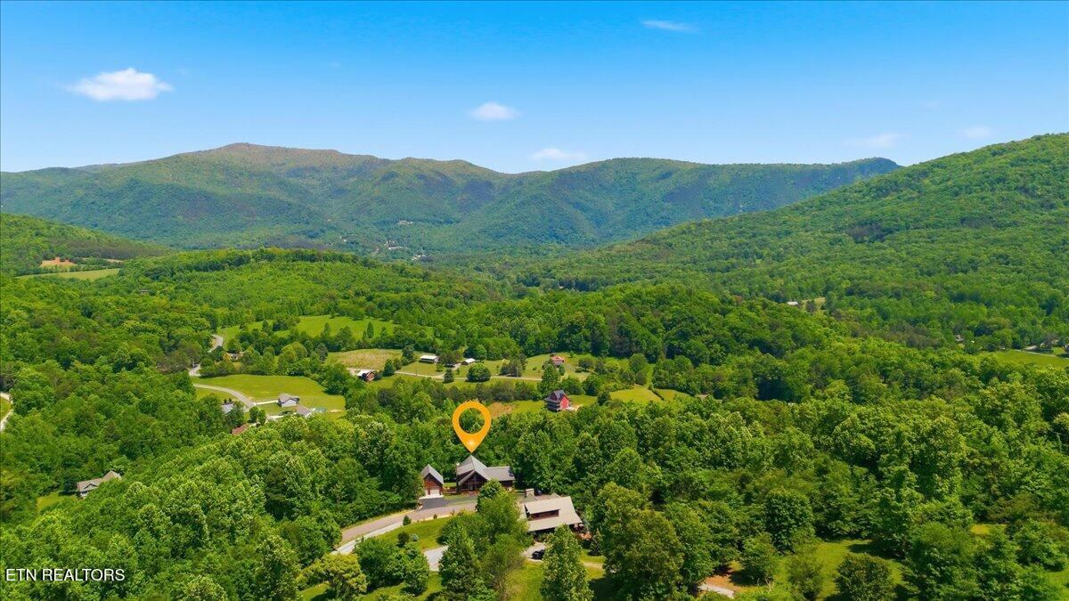 2732 Cayanne Road Cosby TN 37722