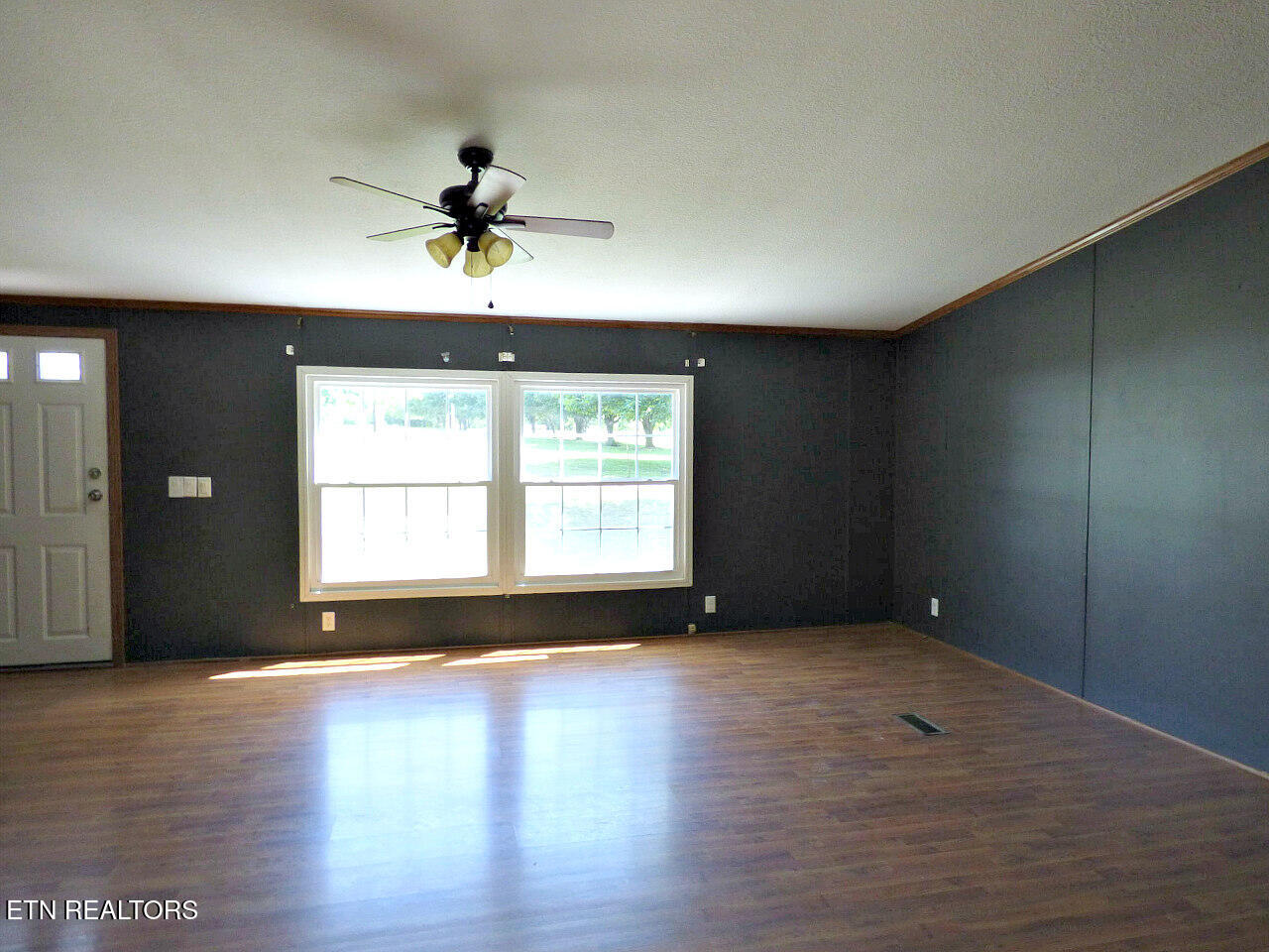 1013 Tara View Way White Pine TN 37890
