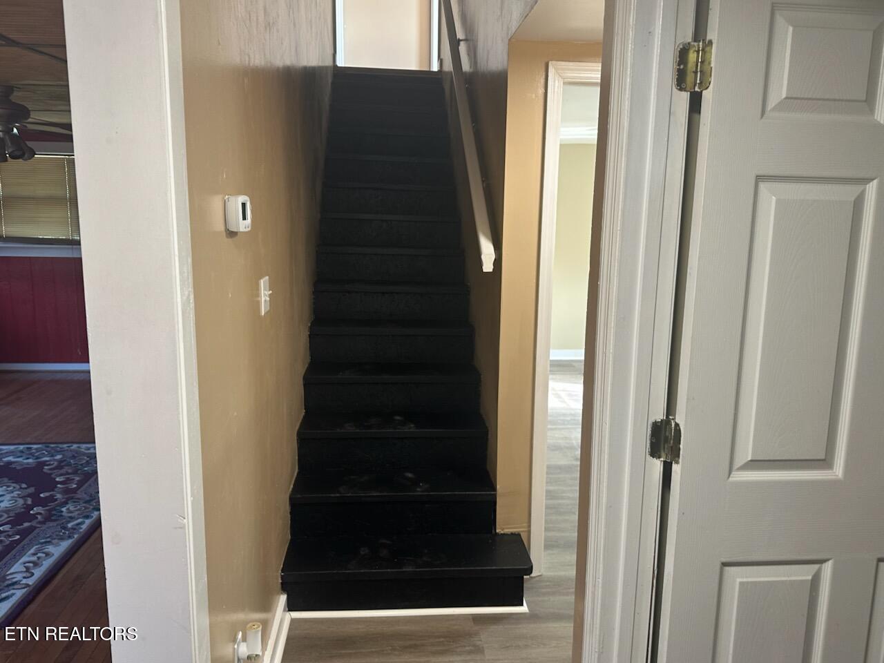 321 Willow Lane Rocky Top TN 37769