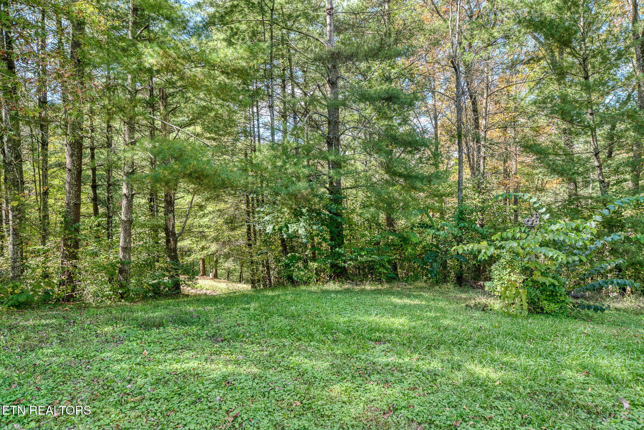 614 W Creston Road Crossville TN 38571
