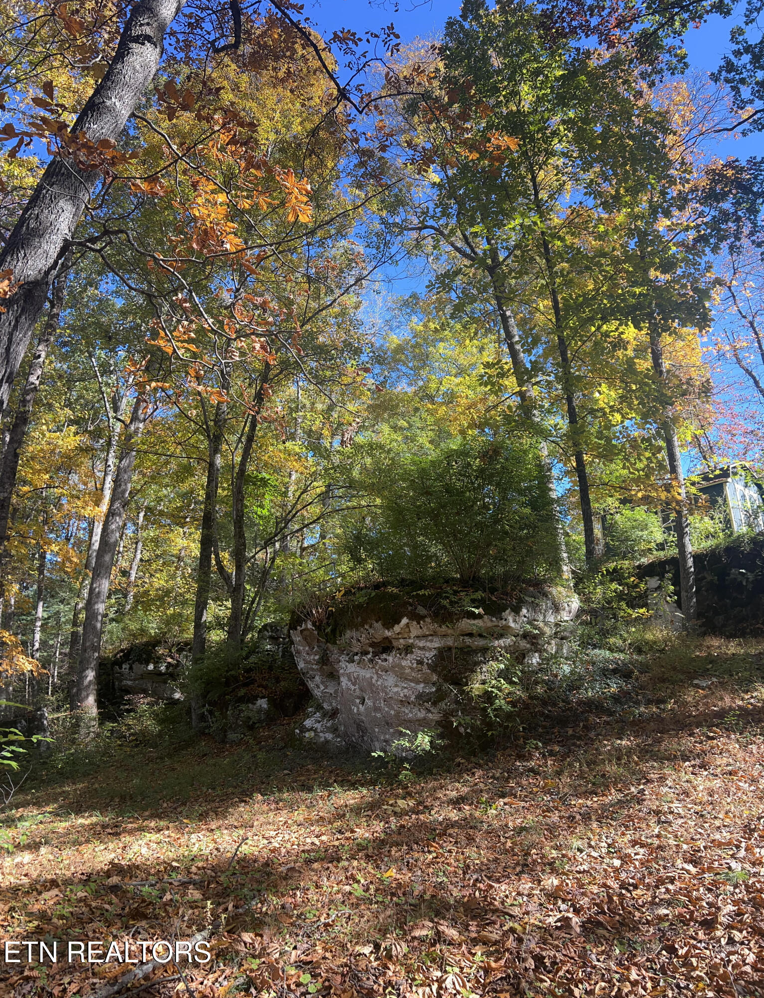 614 W Creston Road Crossville TN 38571
