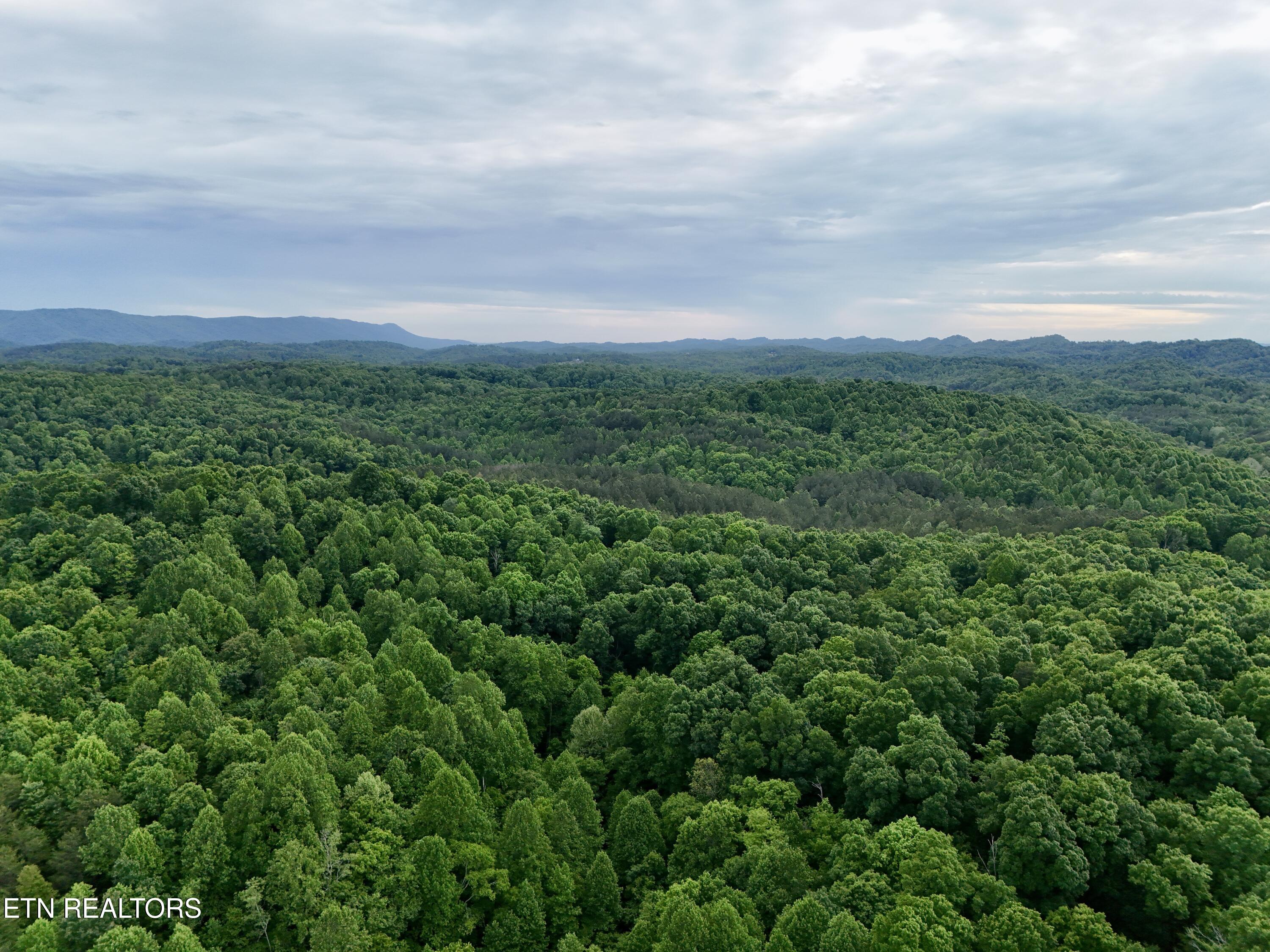 489 Hickory Grove Road Madisonville TN 37354