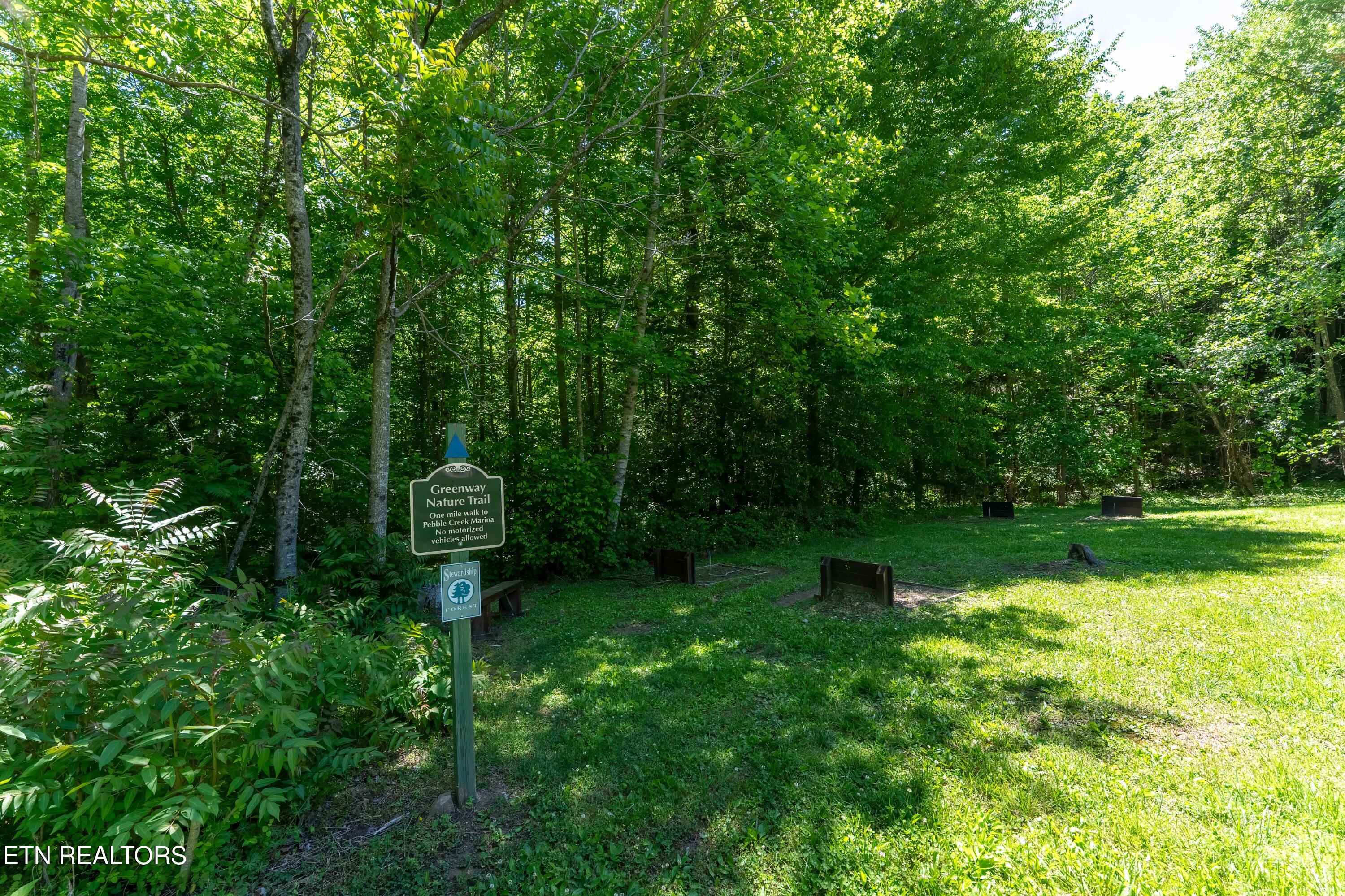 1738 Mountain Shores Road New Tazewell TN 37825