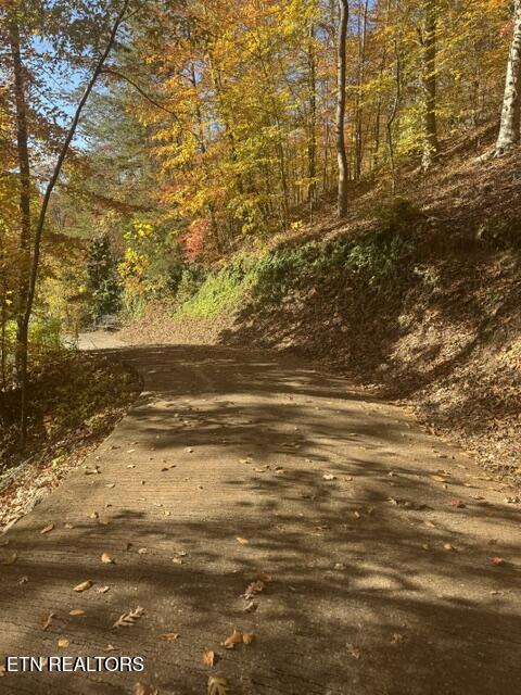 1738 Mountain Shores Road New Tazewell TN 37825