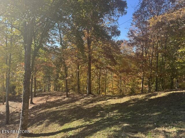 1738 Mountain Shores Road New Tazewell TN 37825