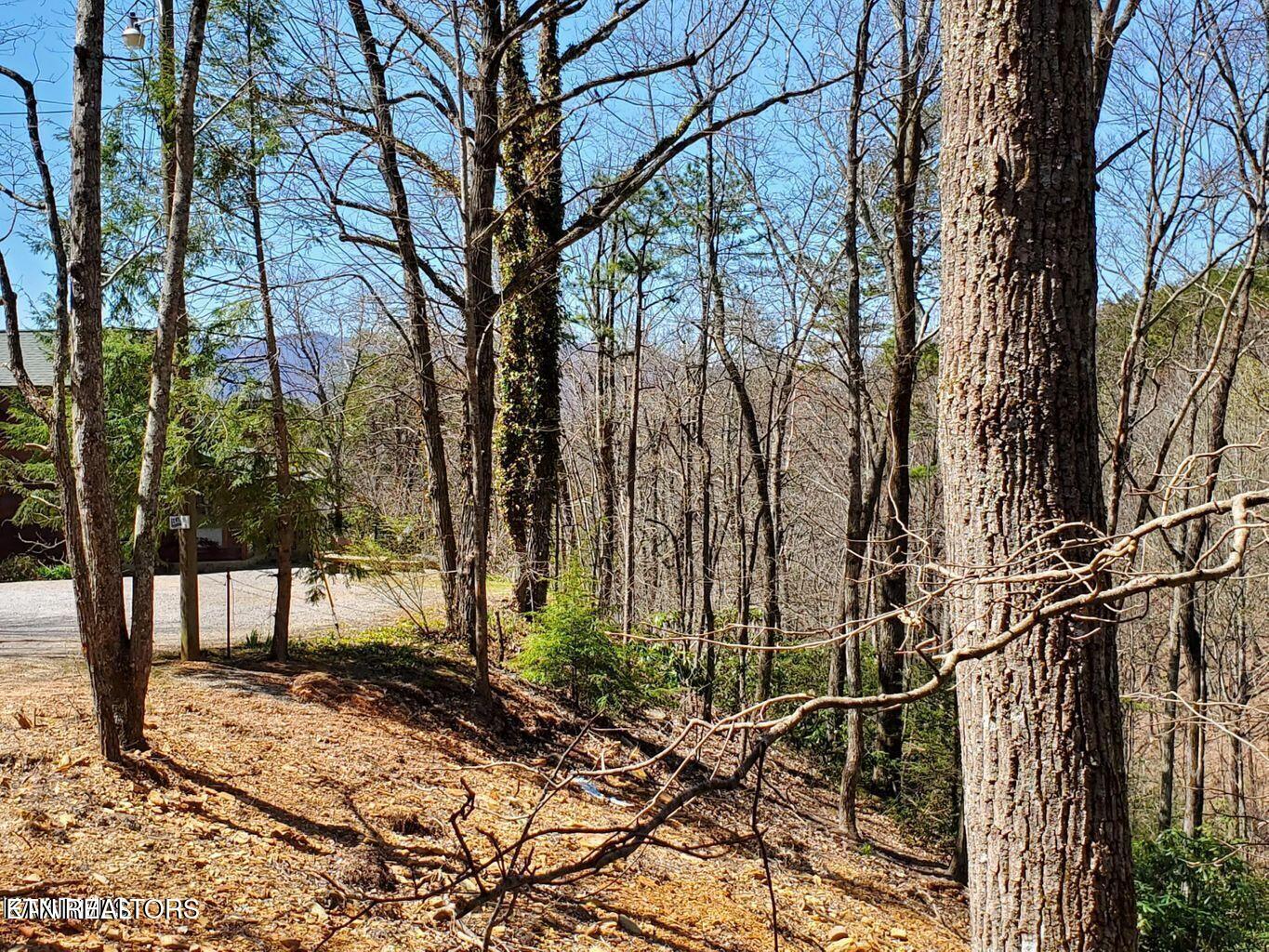 1304 N Oak Court Sevierville TN 37876