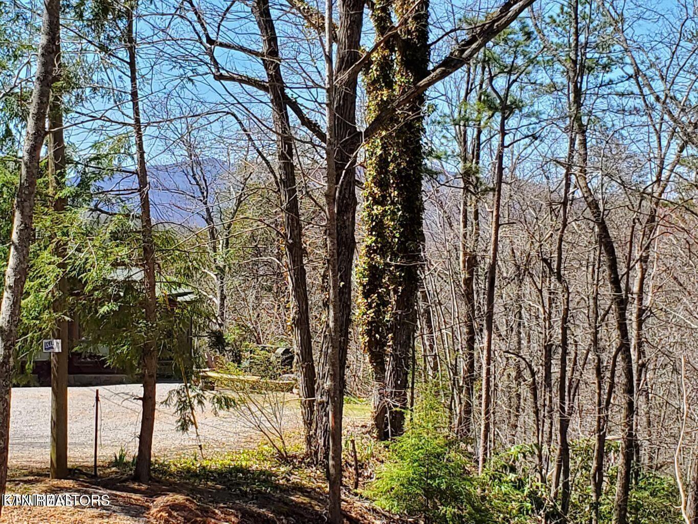 1304 N Oak Court Sevierville TN 37876