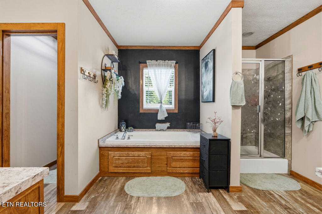 704 Mize Road Seymour TN 37865
