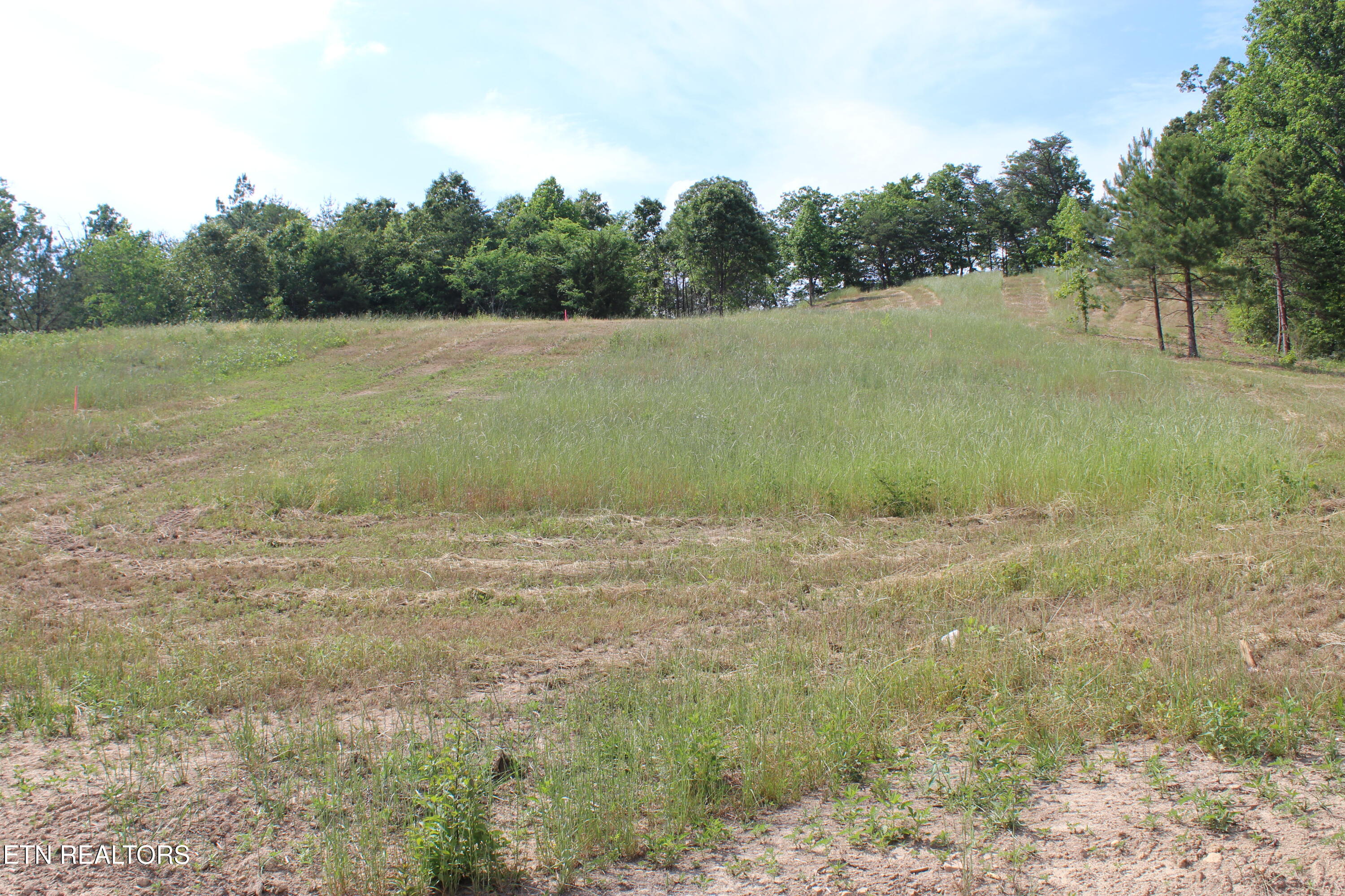 443 Smokey Road Rutledge TN 37861