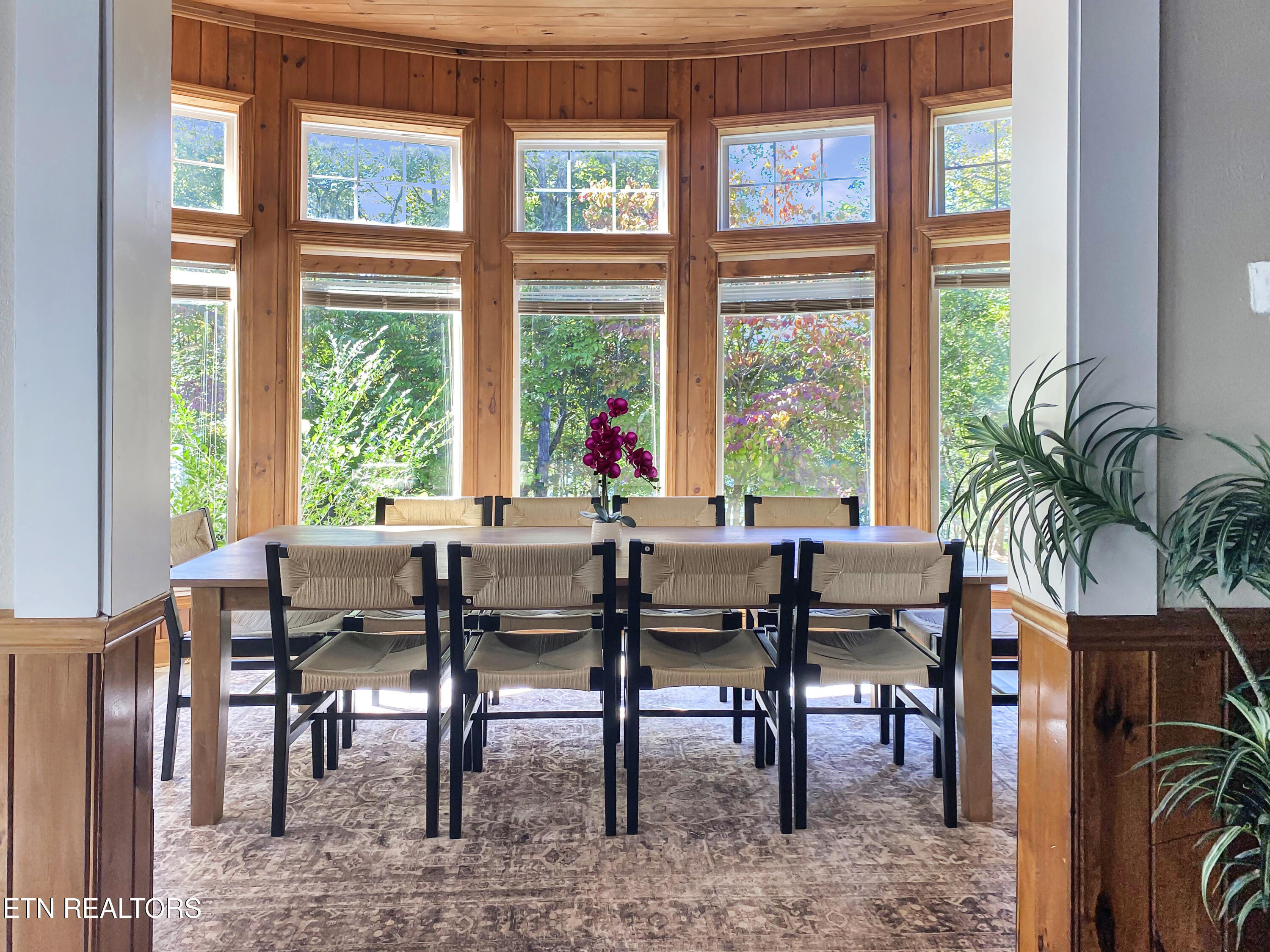 610 Cape Norris Road New Tazewell TN 37825