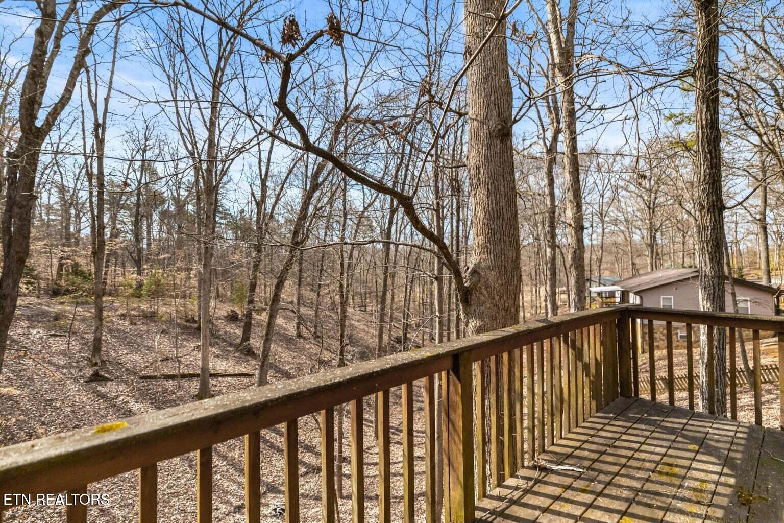 1027 Dean Circle Dandridge TN 37725