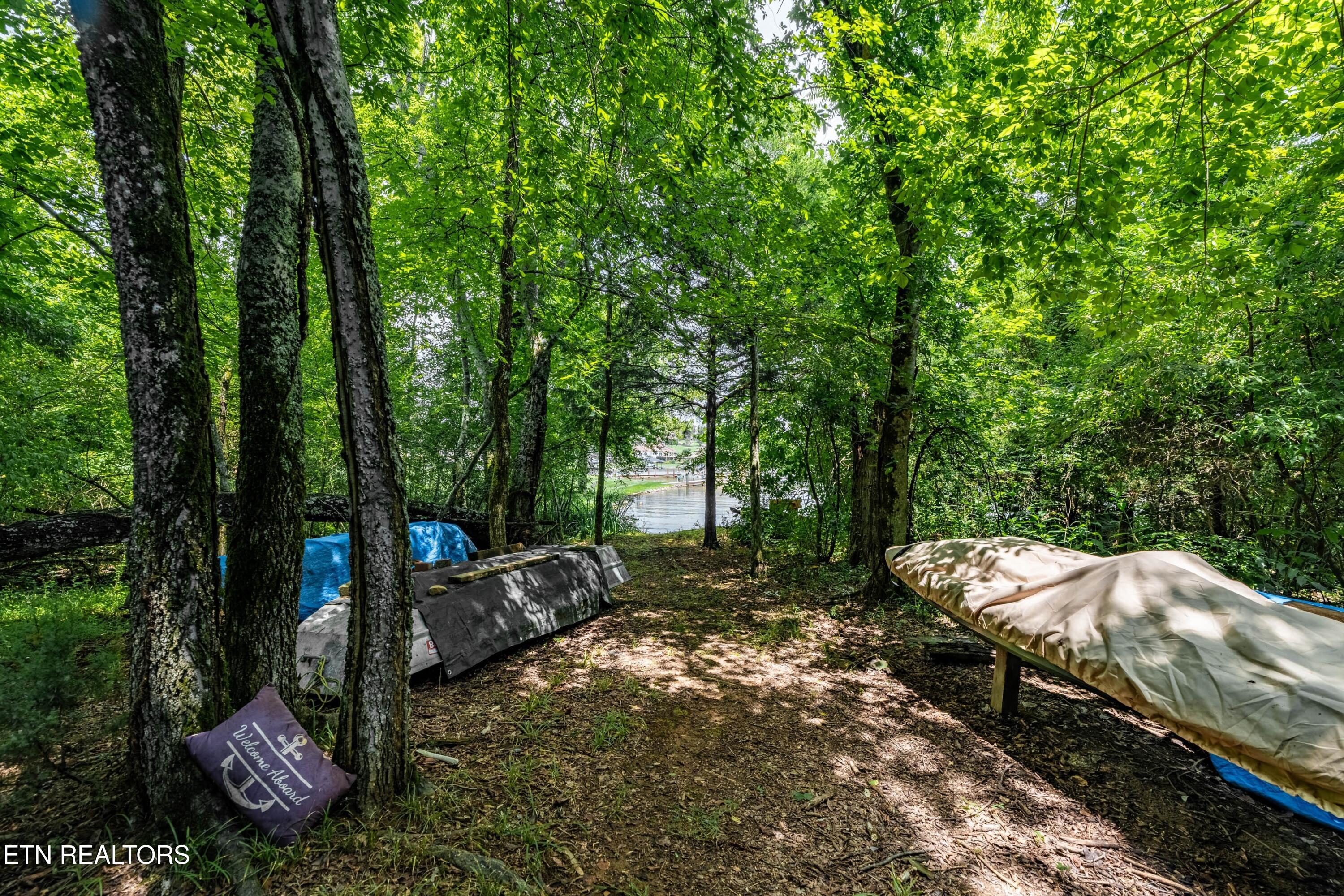 330 Dudala Point Loudon TN 37774