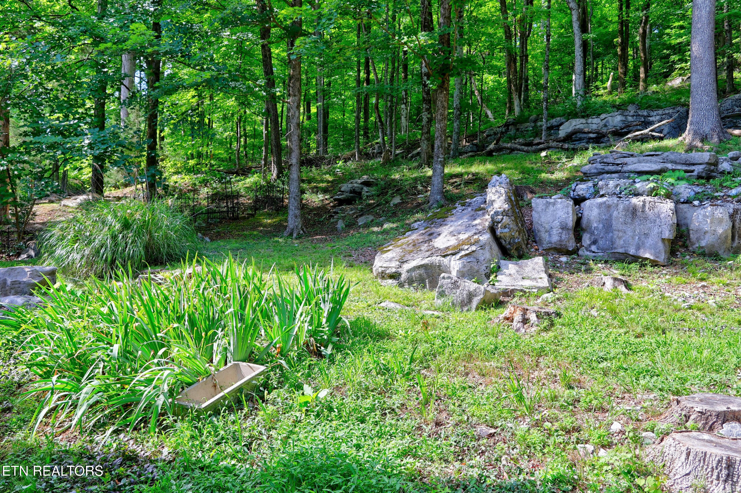 1650 N Plantation Drive Cookeville TN 38506