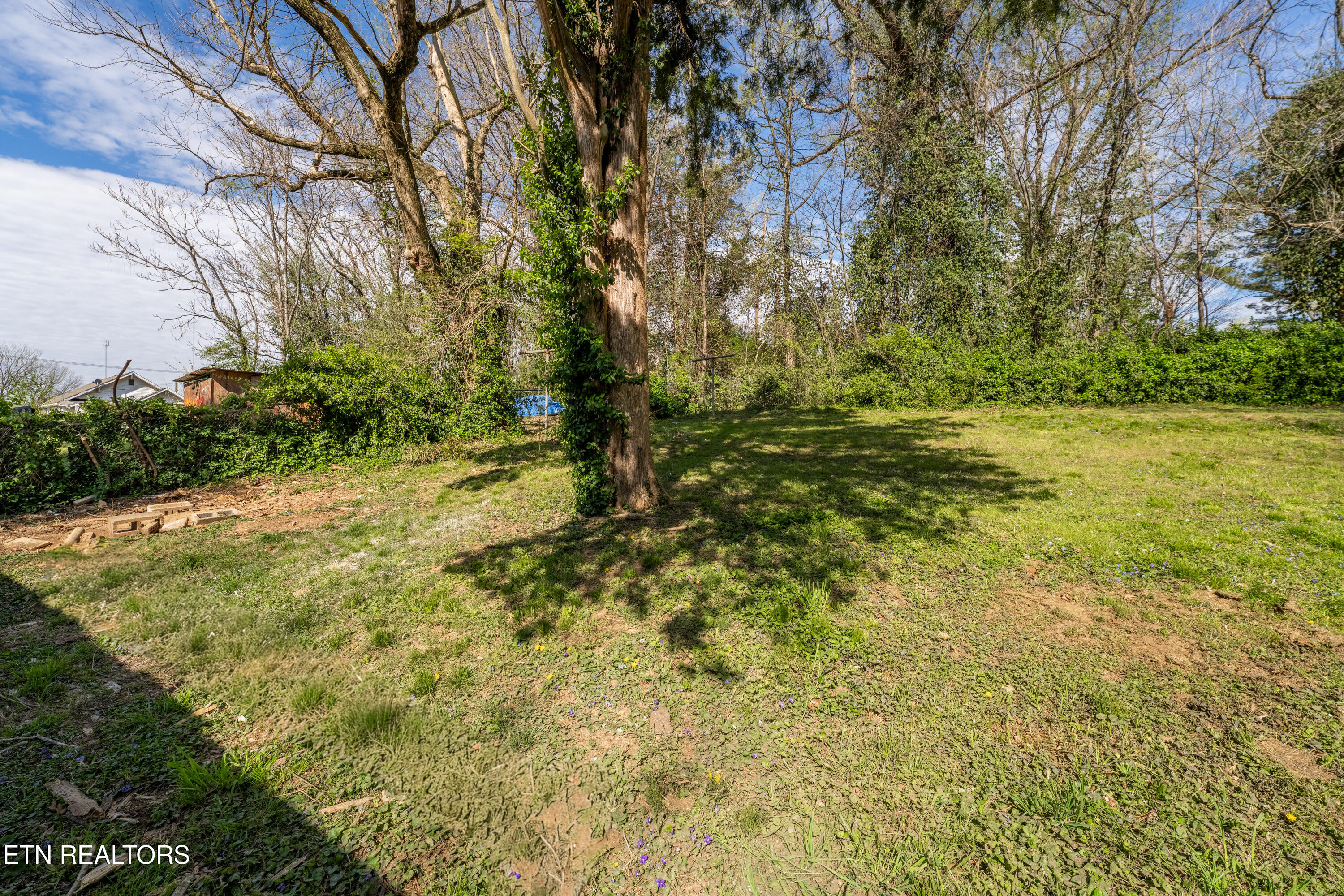 2623 Tecoma Drive Knoxville TN 37917