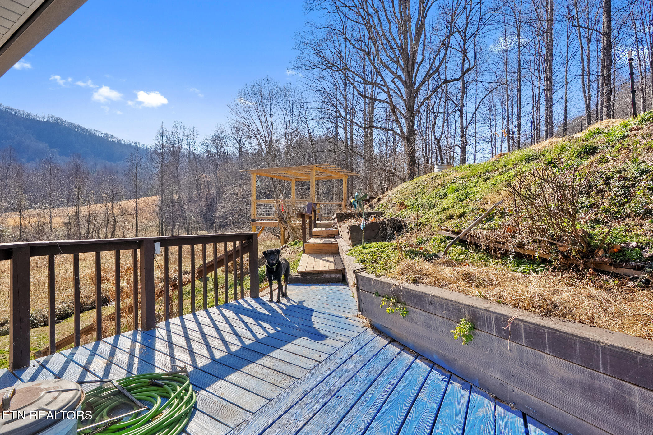 Rogersville TN 37857