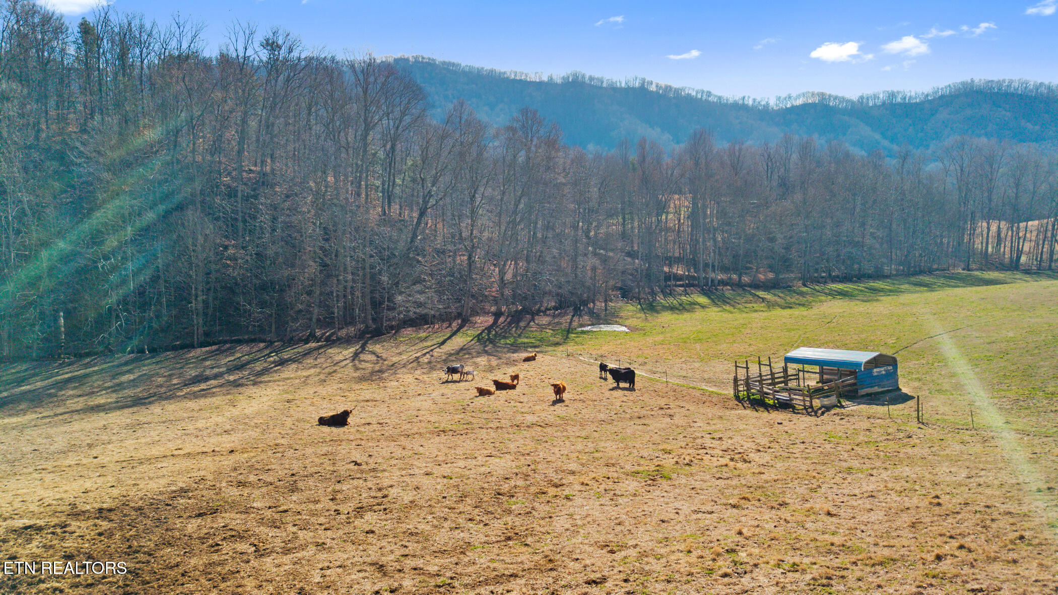 Rogersville TN 37857