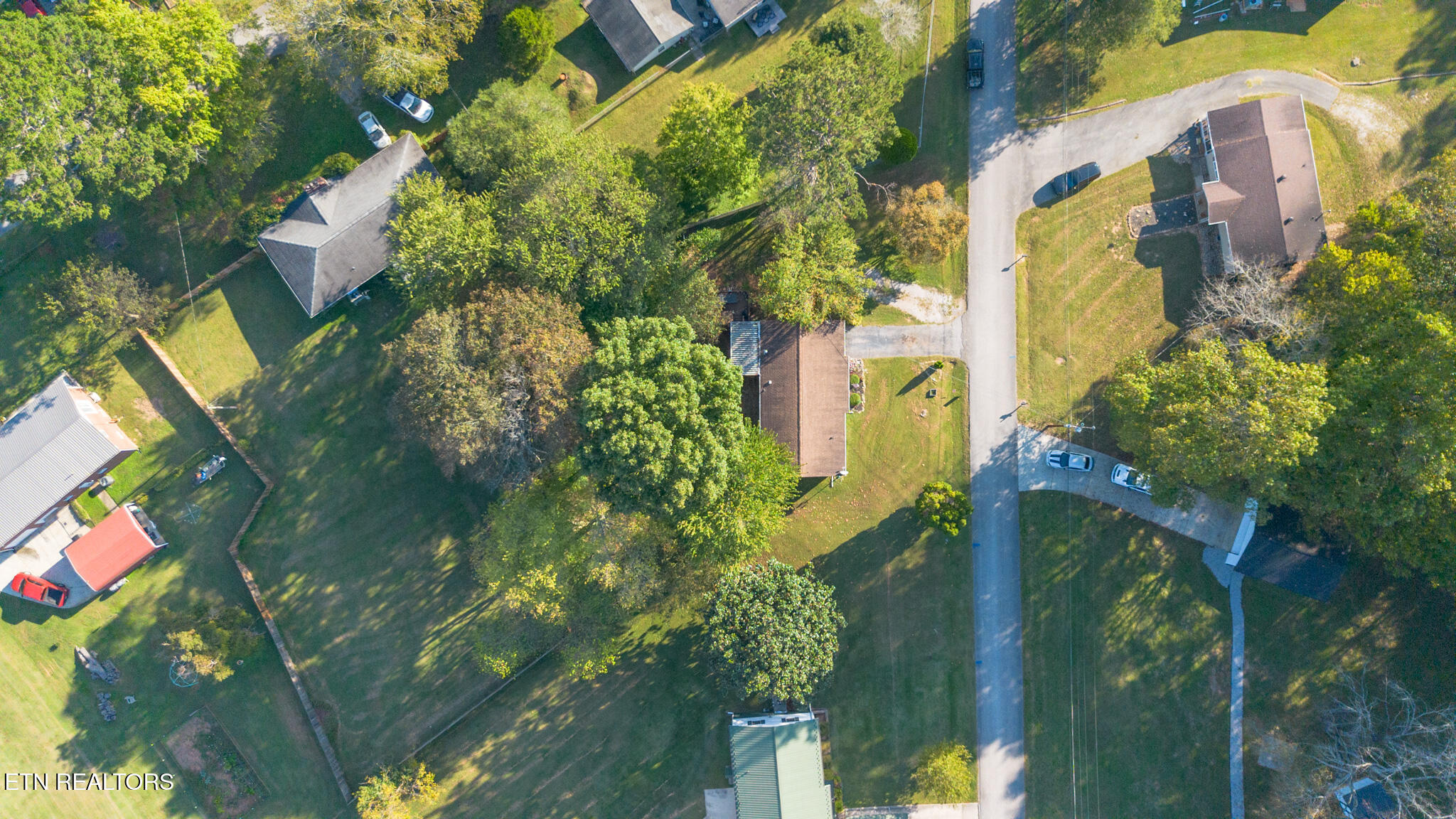 212 Reba Avenue Harriman TN 37748