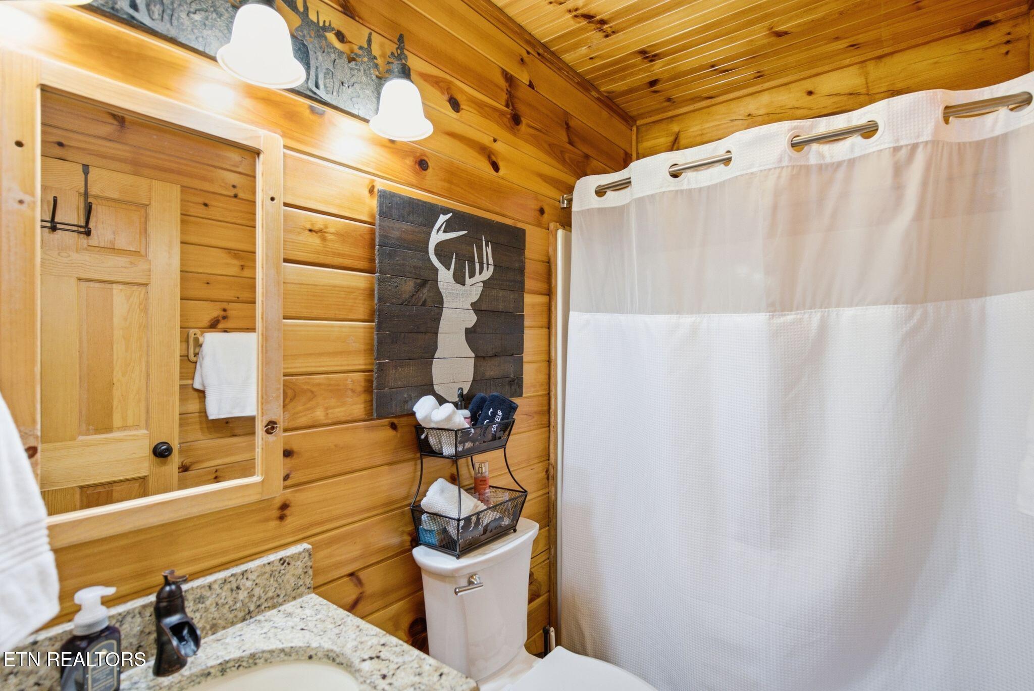 2436 Cobbler Way Pigeon Forge TN 37863