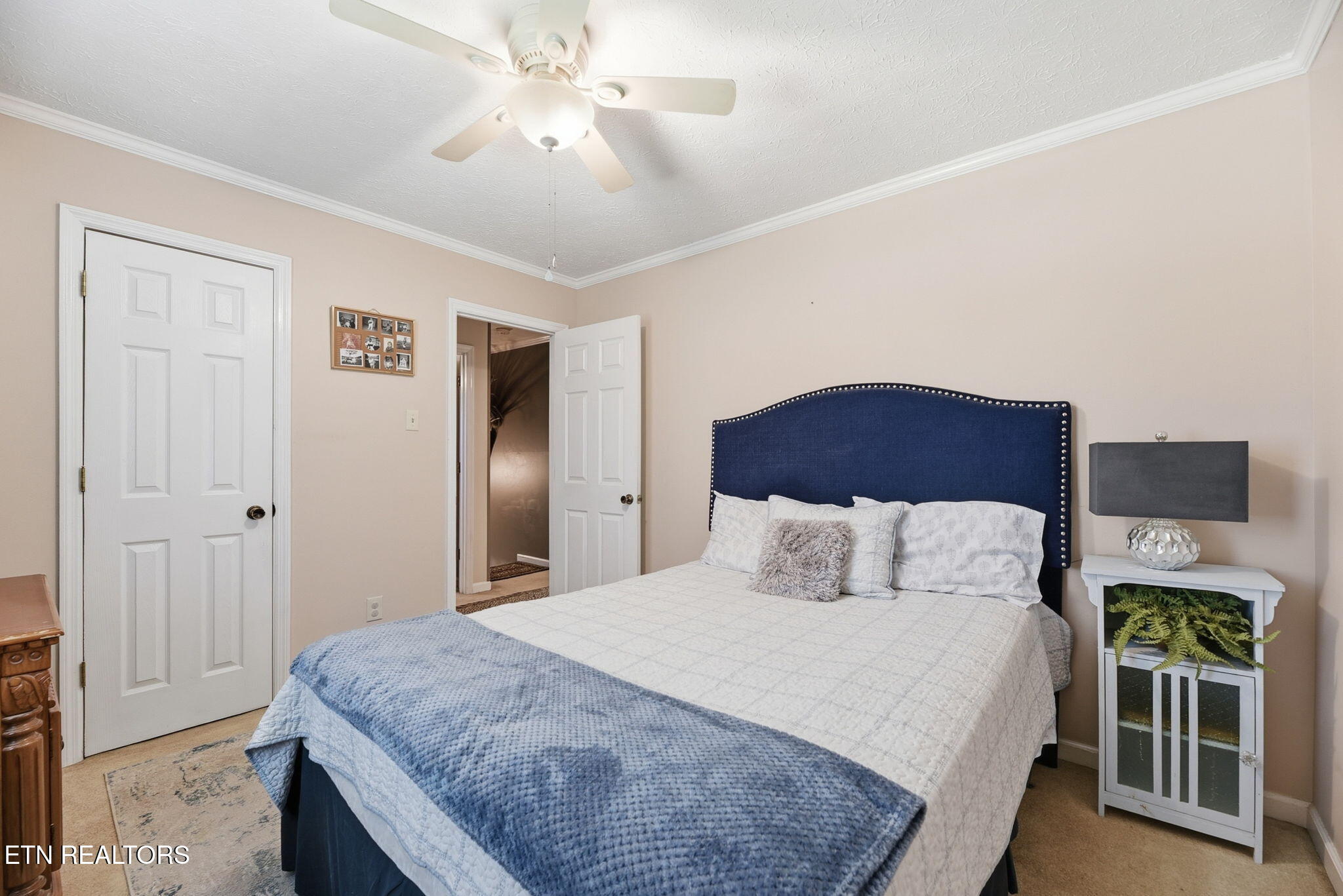 10117 Oak Creek Lane Knoxville TN 37932