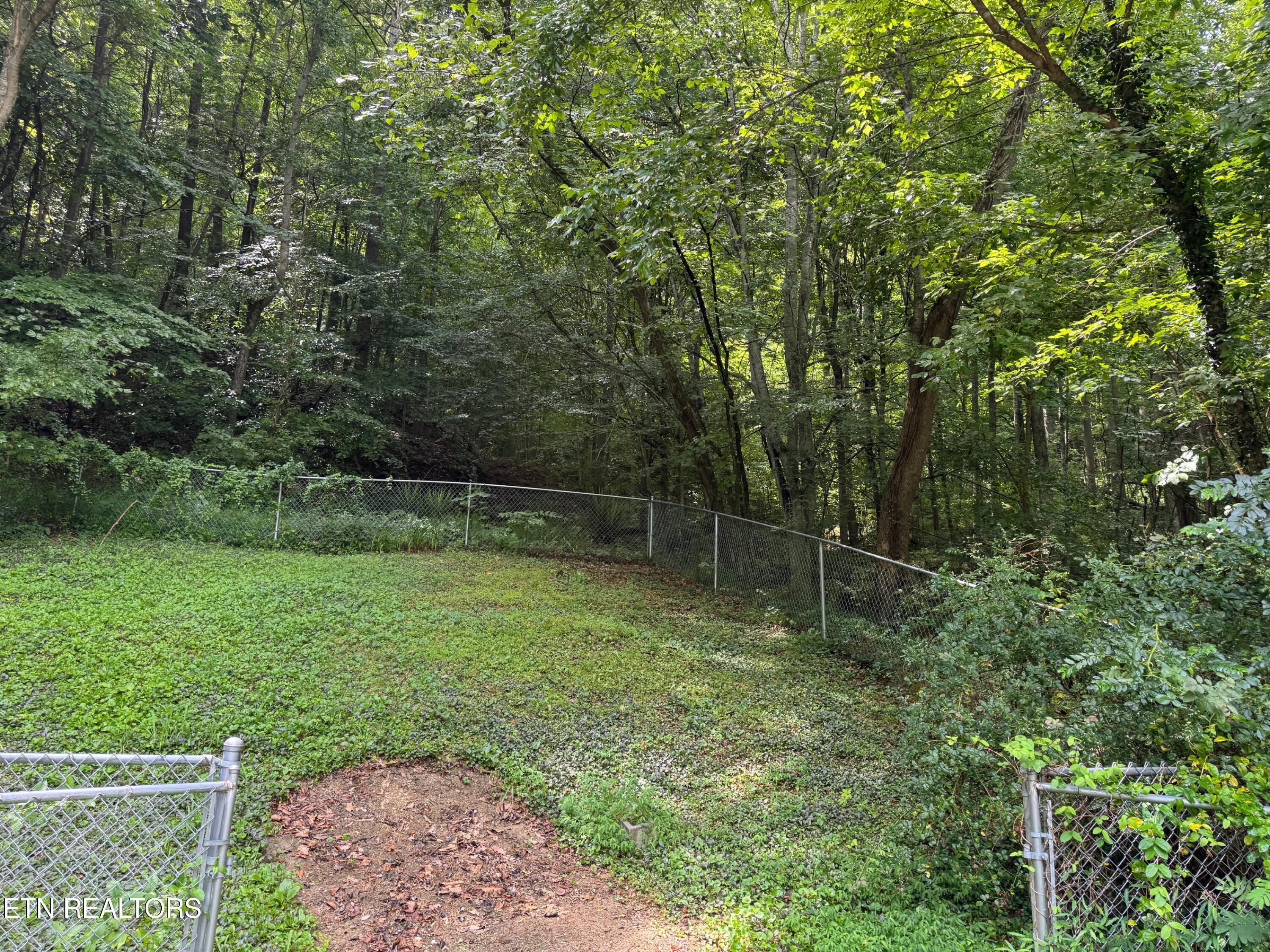 652 Indian Mountain Road Jellico TN 37762