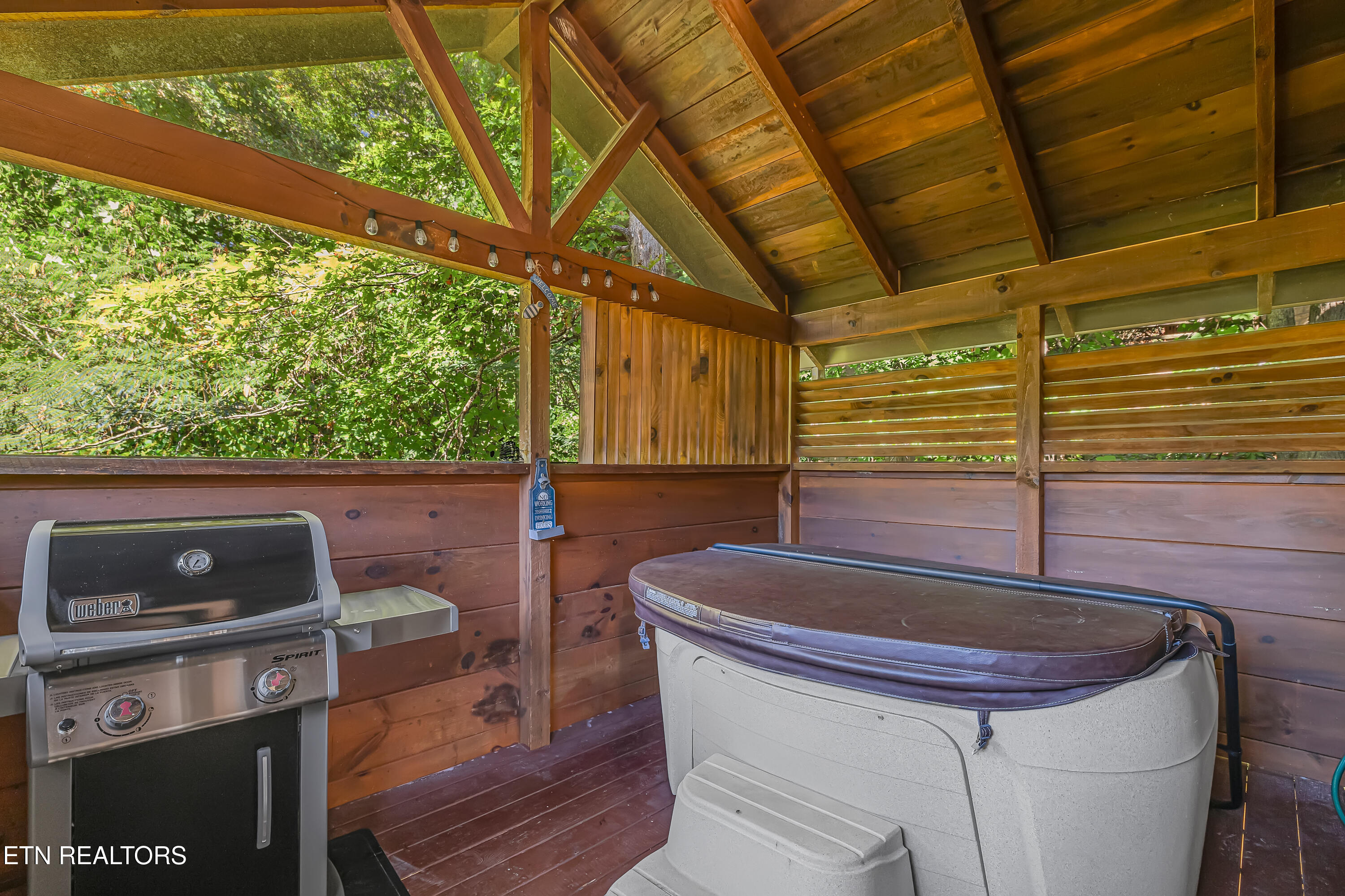 309 Elk Cove Way Gatlinburg TN 37738