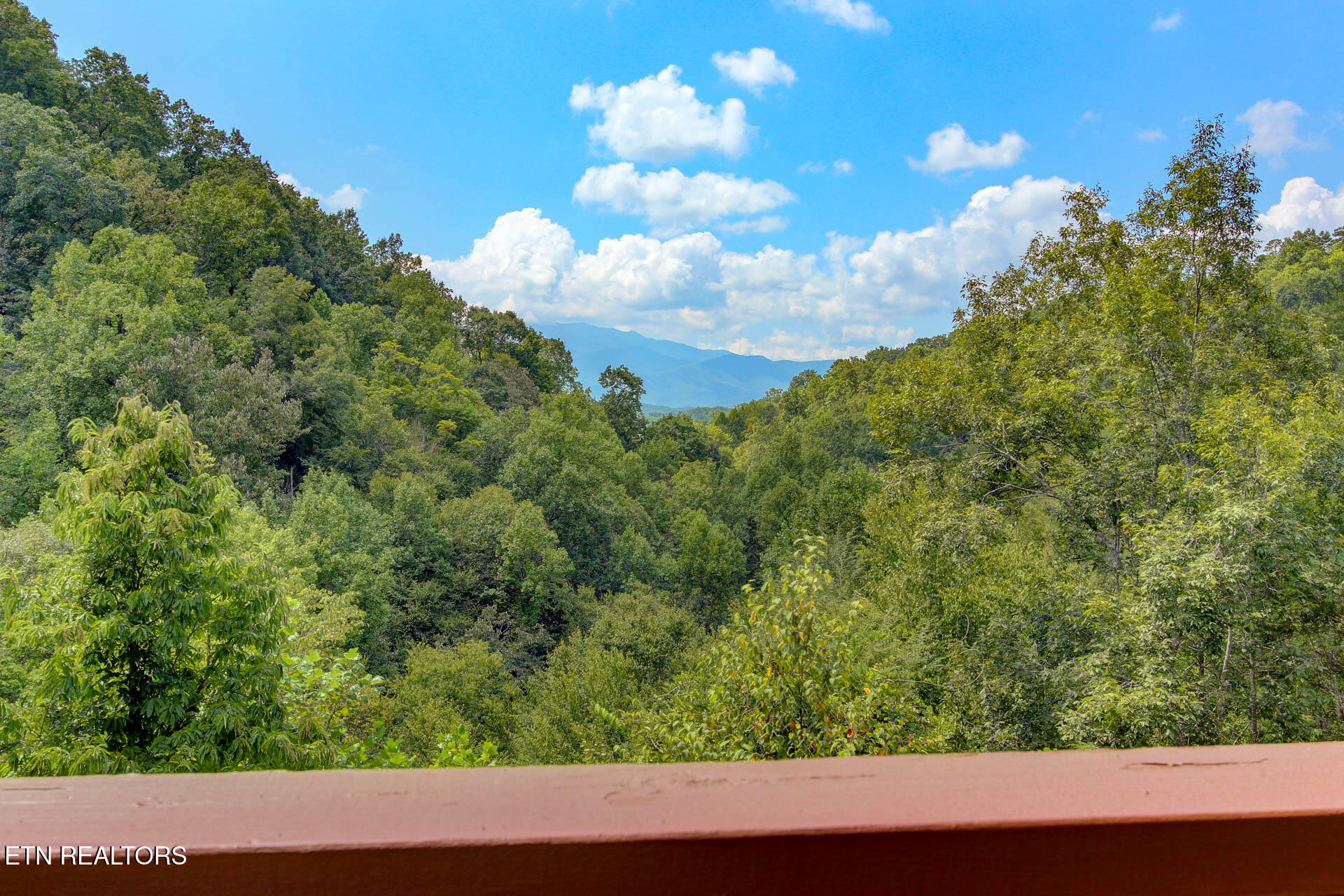 919 Grey Fox Trail Gatlinburg TN 37738