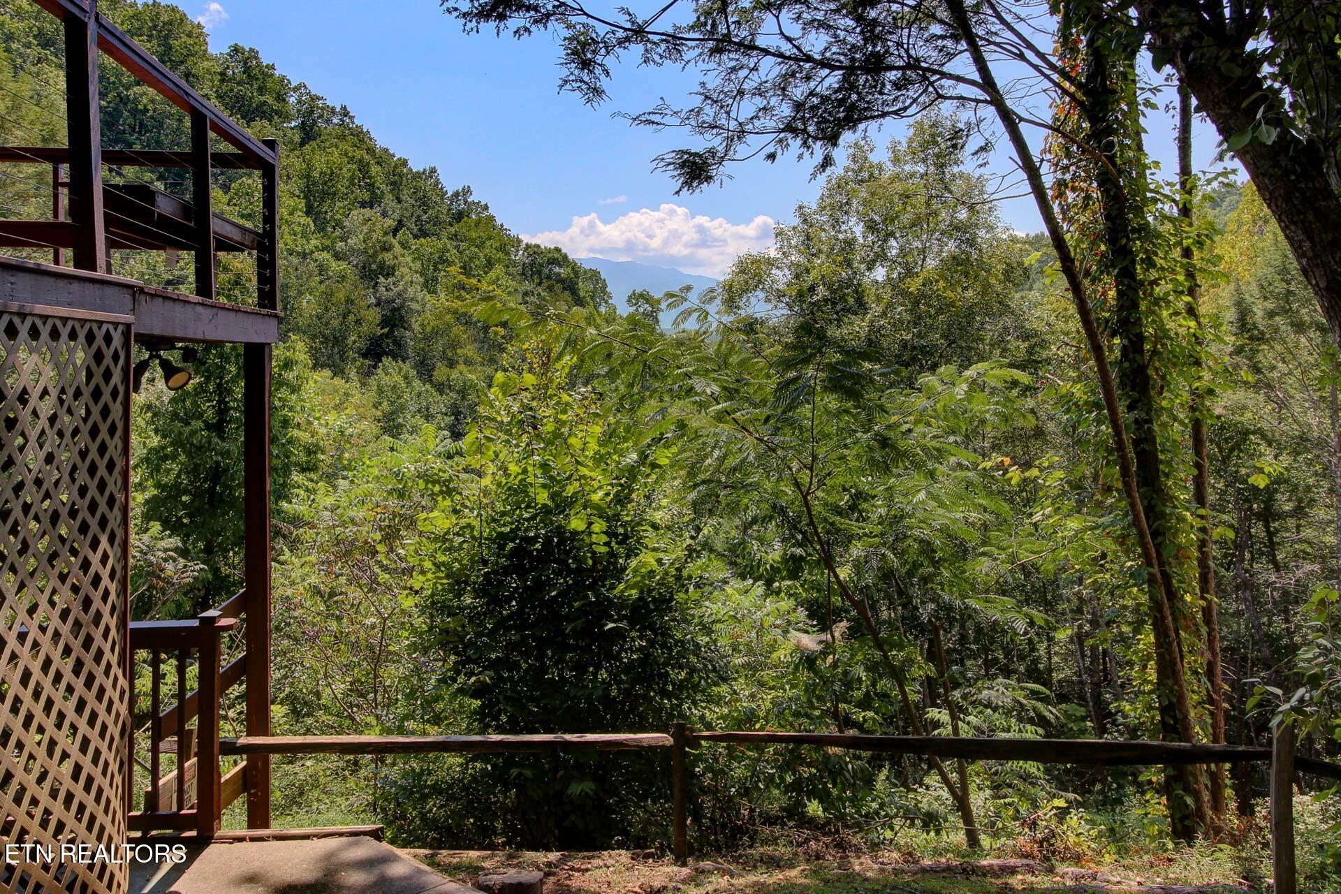 919 Grey Fox Trail Gatlinburg TN 37738