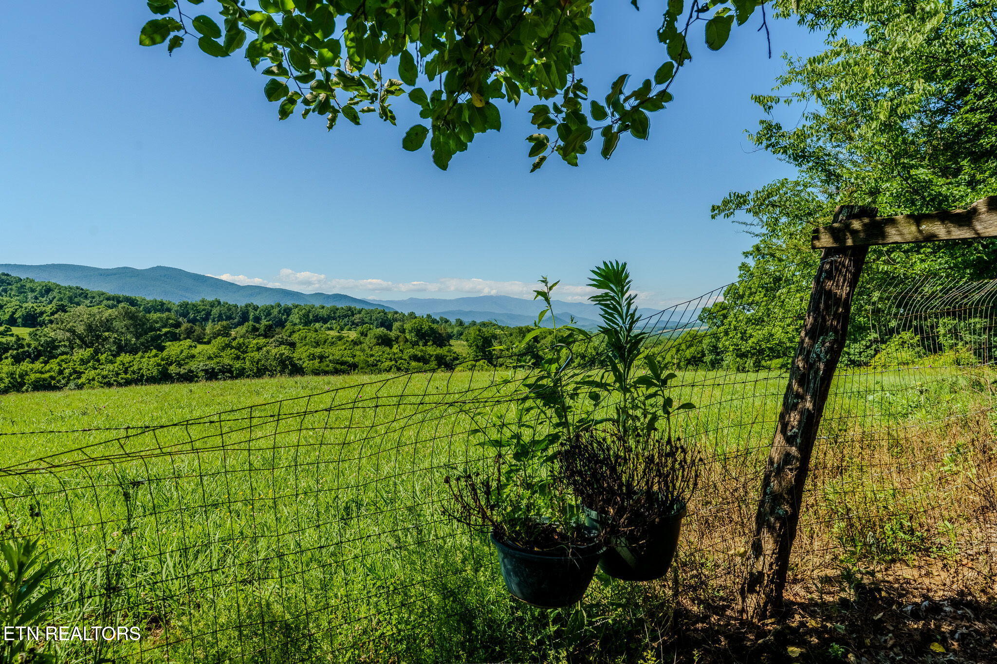 891 Tolley Hollow Road Newport TN 37821