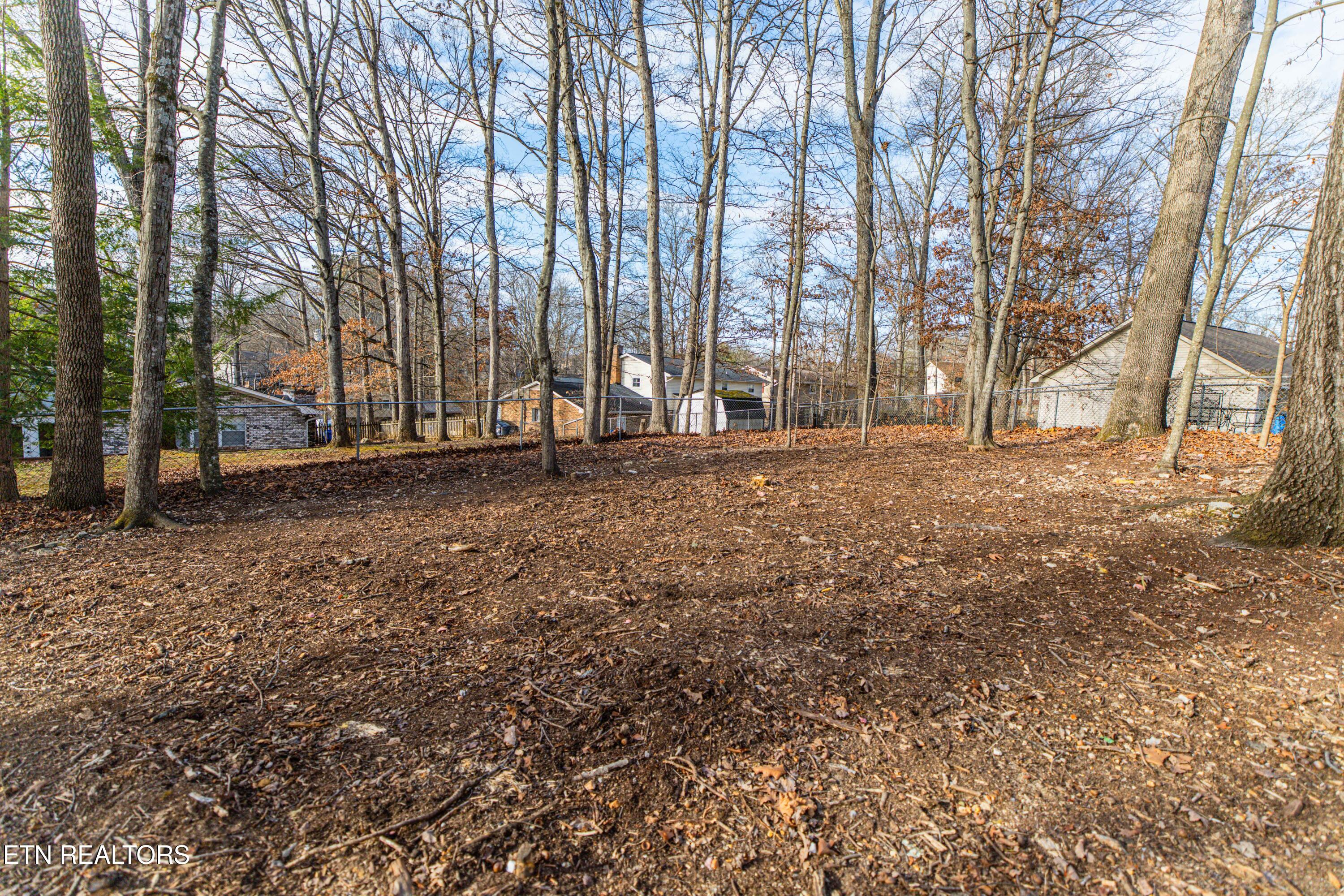 1909 Matthew Lane Knoxville TN 37923