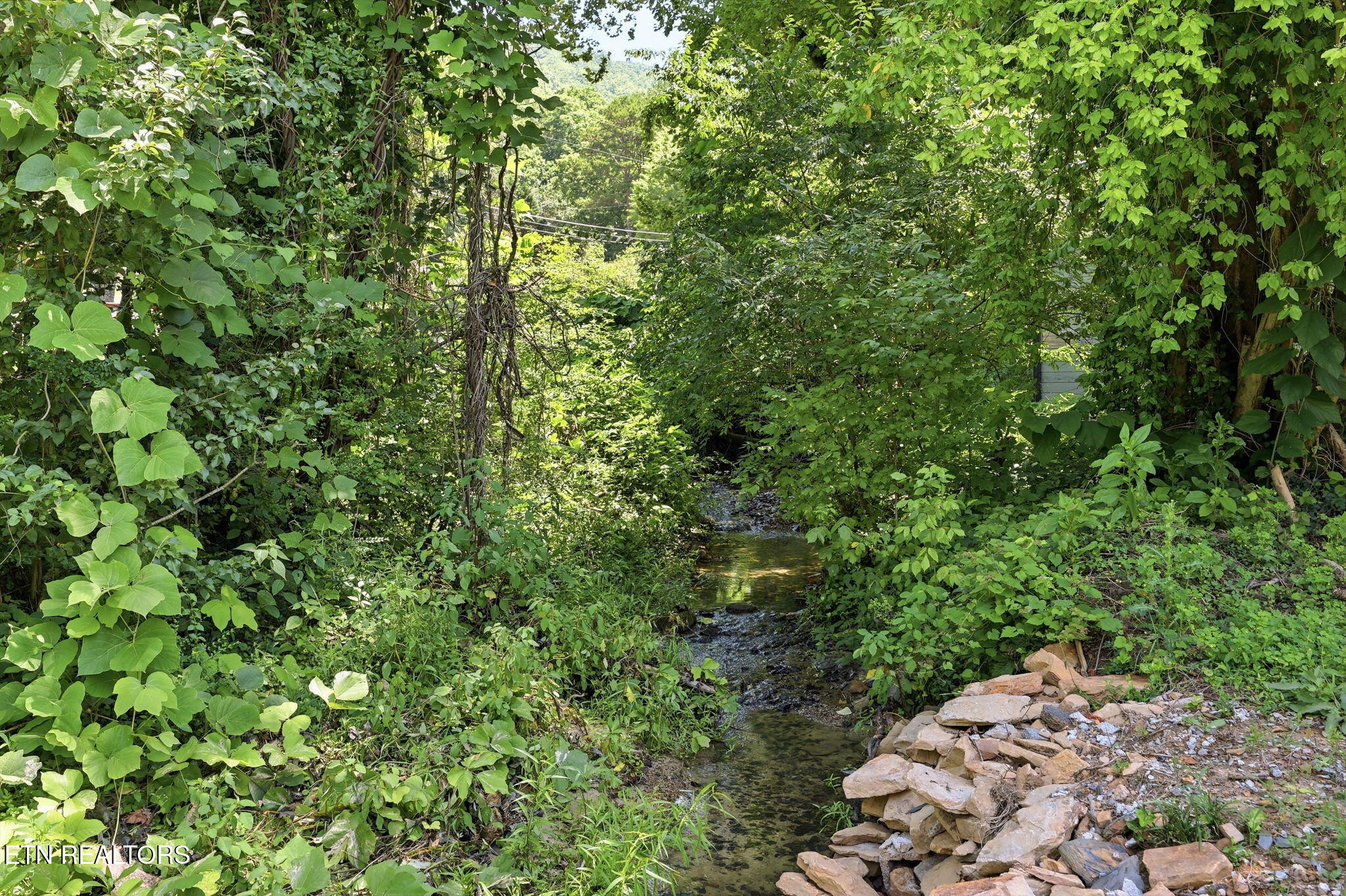 210 E Spring Street Oliver Springs TN 37840