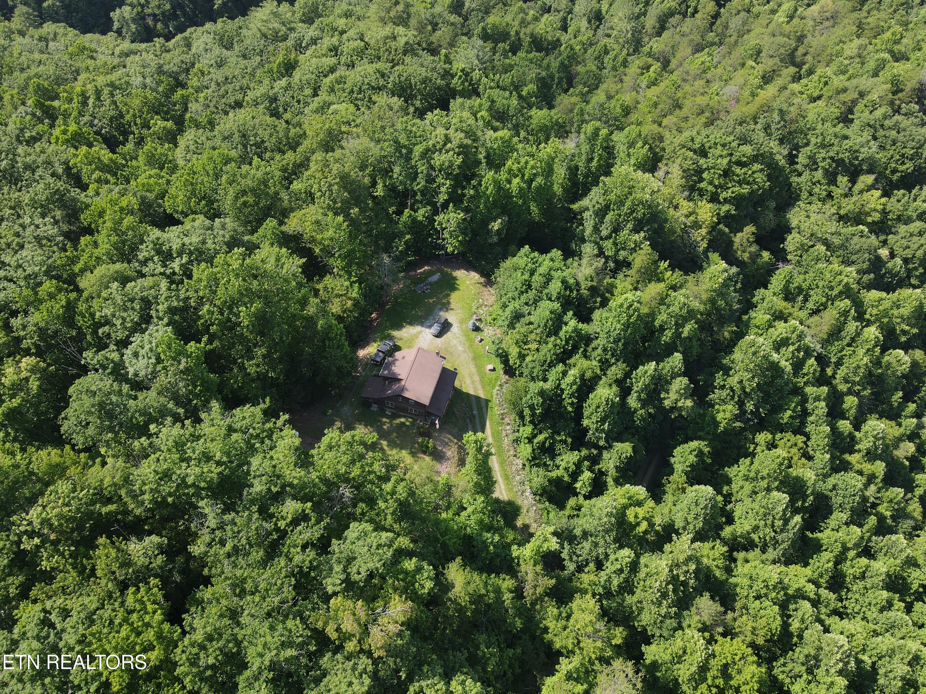 199 Pear Tree Way Del Rio TN 37727