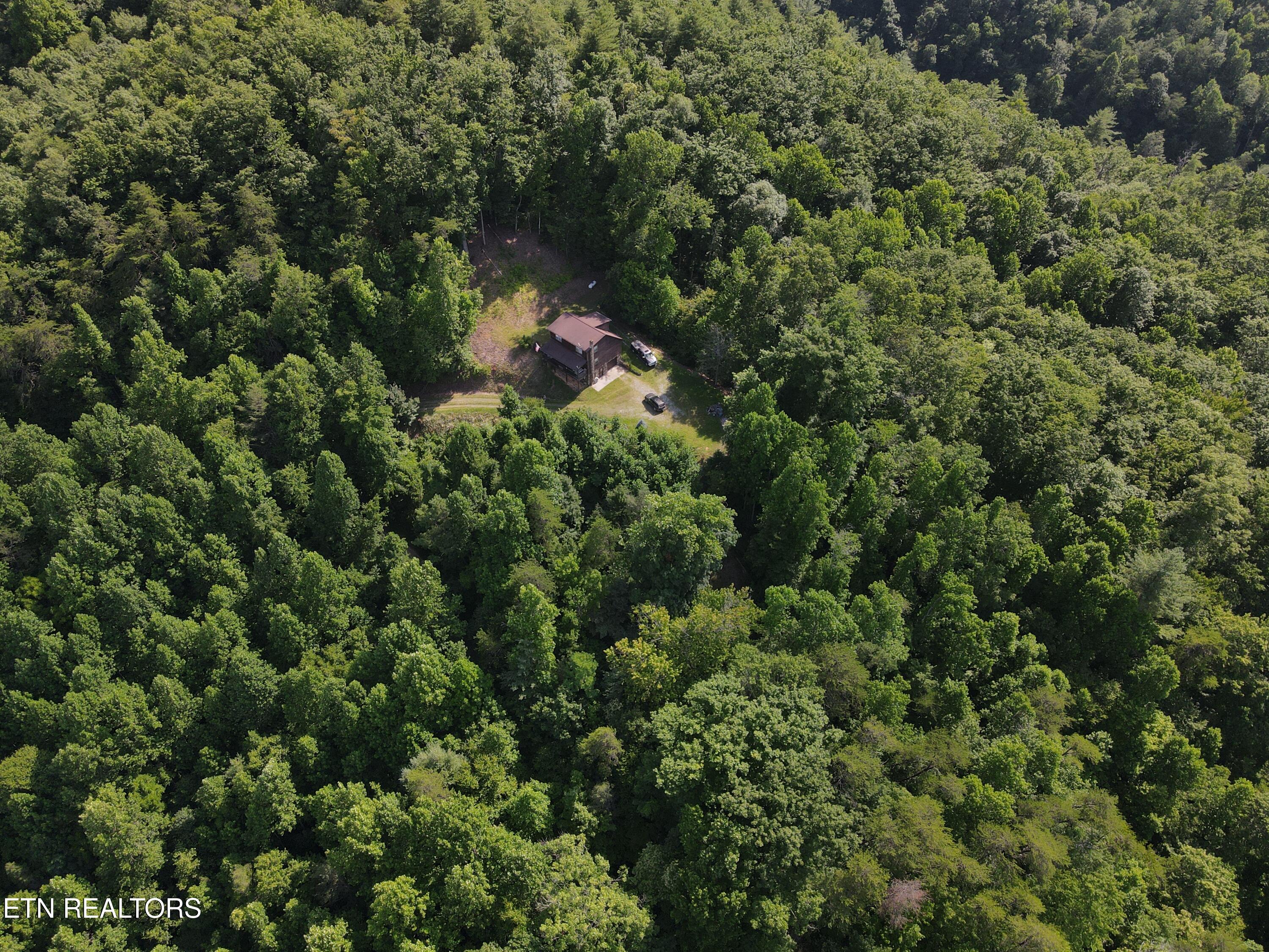 199 Pear Tree Way Del Rio TN 37727