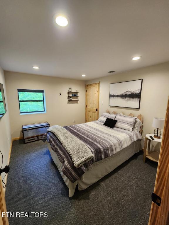 1196 Iris Way Cosby TN 37722