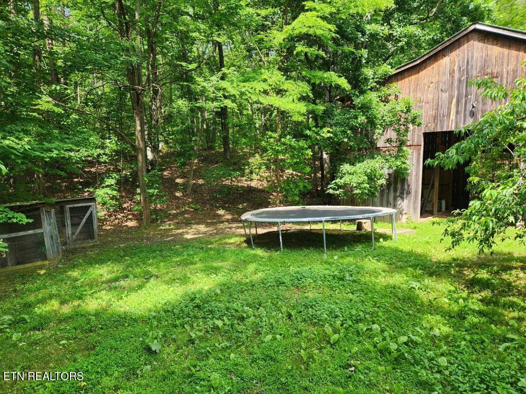1196 Iris Way Cosby TN 37722