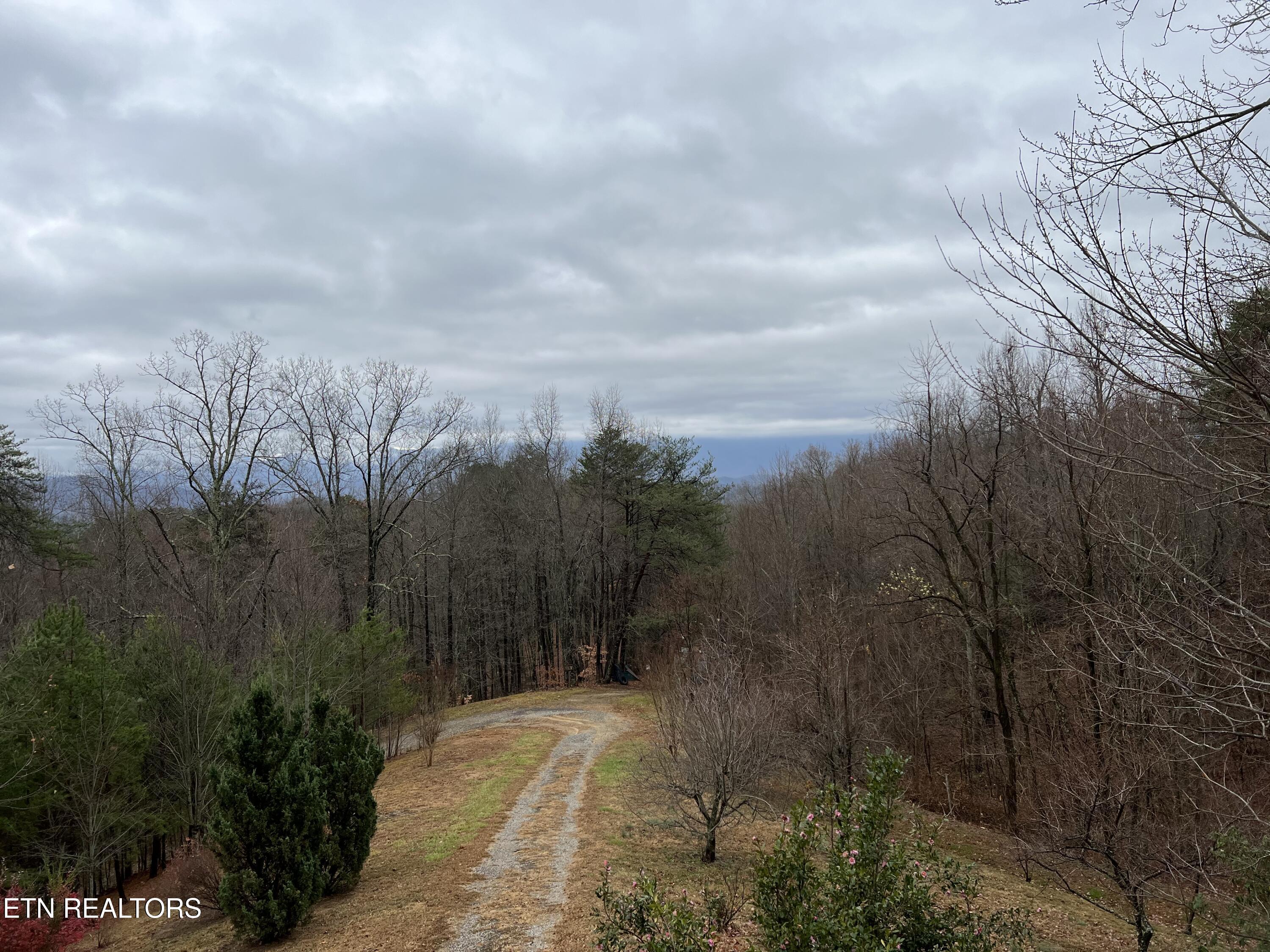 1196 Iris Way Cosby TN 37722