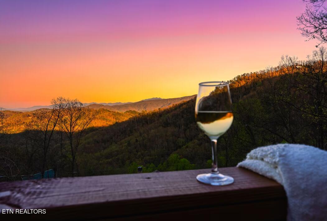 2775 Overholt Trail Sevierville TN 37862