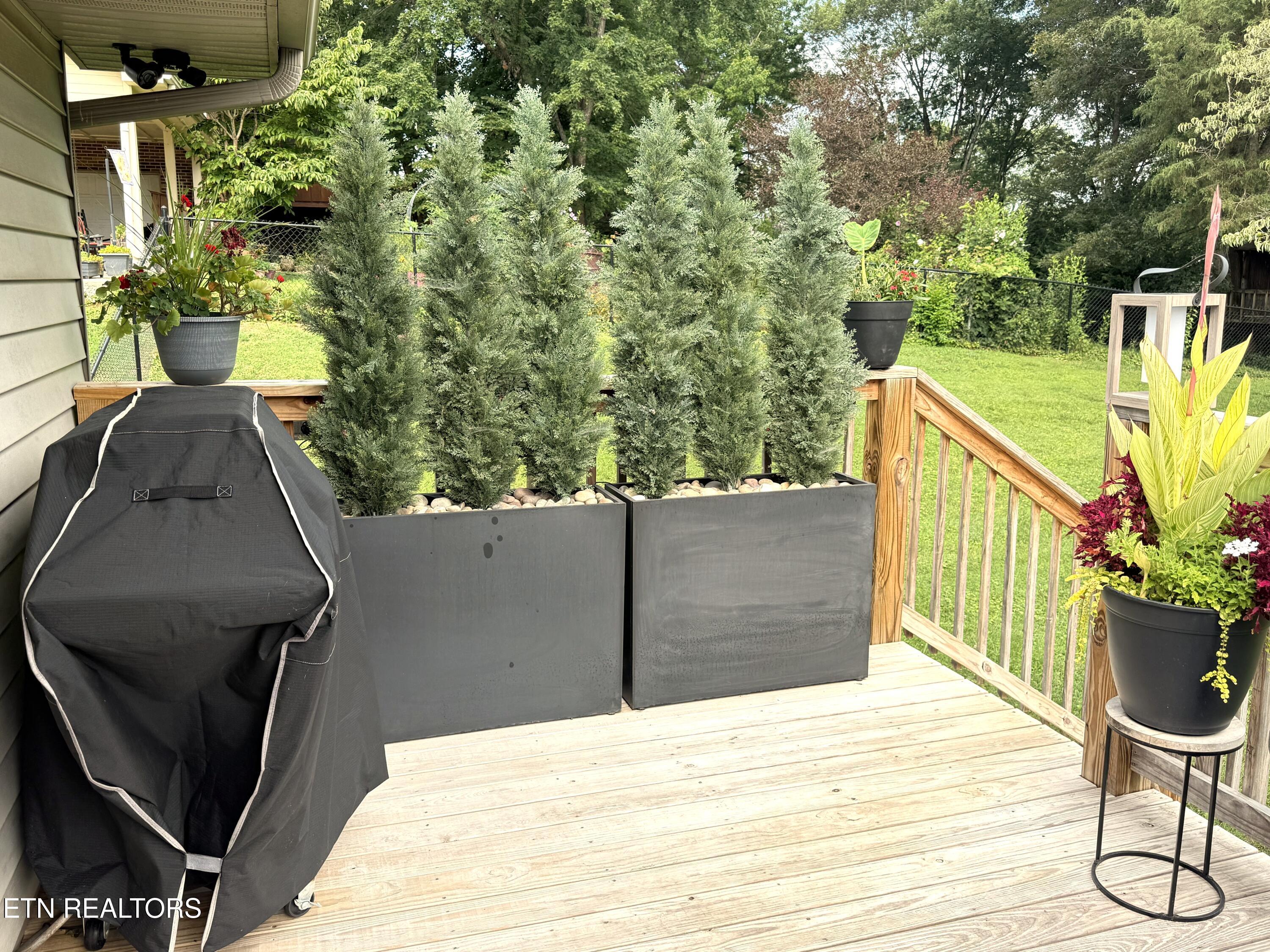 536 Catalpa Street Seymour TN 37865