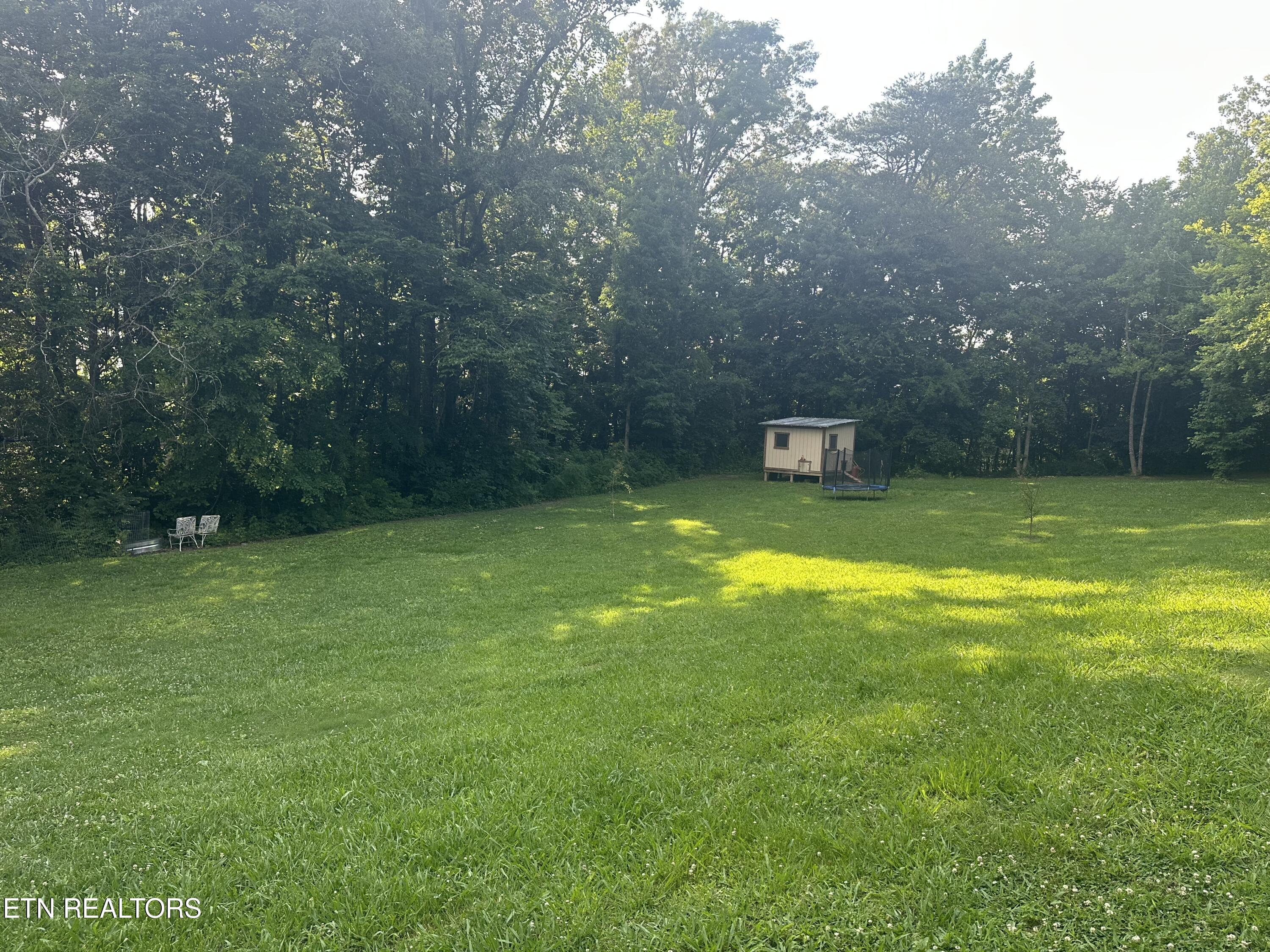 217 Bowers Circle Friendsville TN 37737