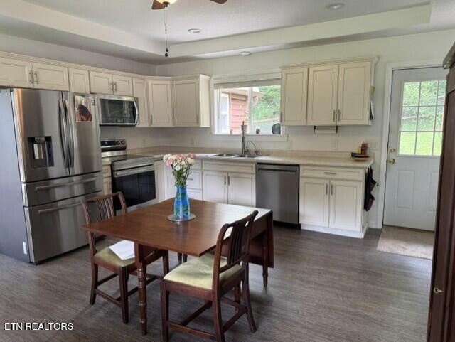 2410 Perilla Road Cosby TN 37722
