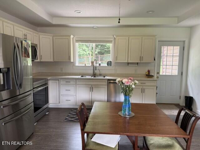 2410 Perilla Road Cosby TN 37722