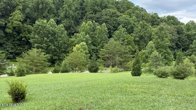 2410 Perilla Road Cosby TN 37722