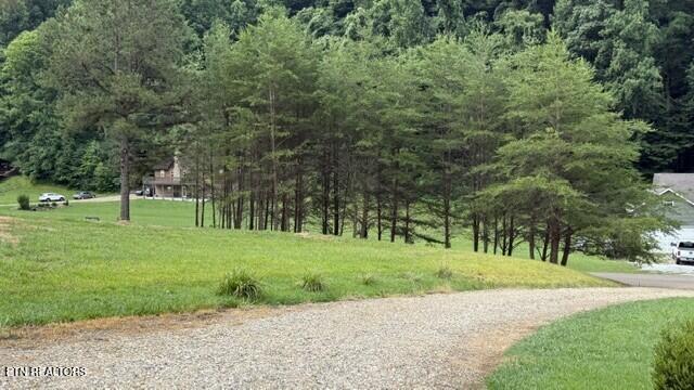 2410 Perilla Road Cosby TN 37722