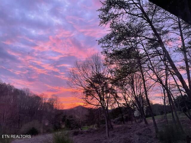 2410 Perilla Road Cosby TN 37722