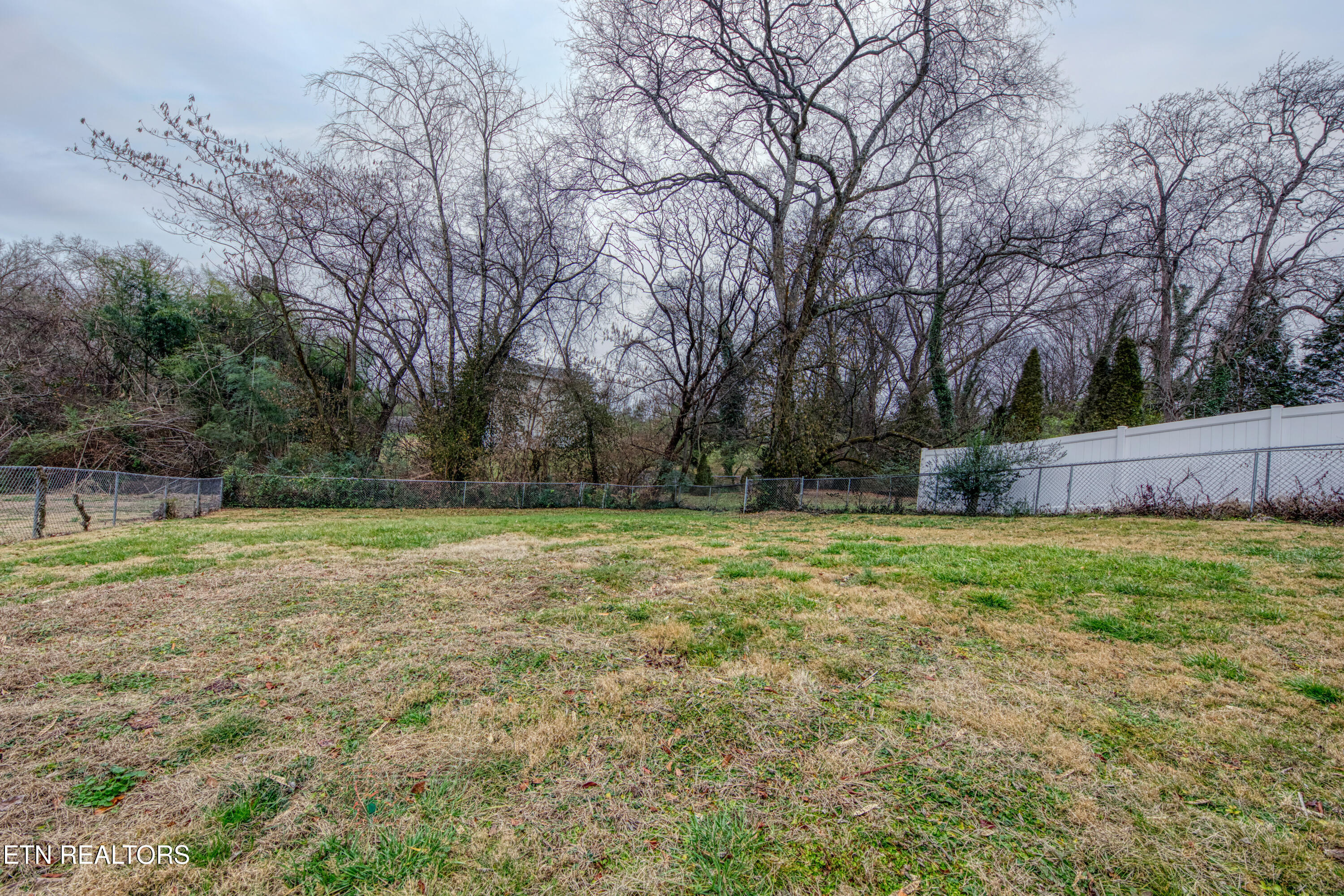 2431 Teeple Street Knoxville TN 37917